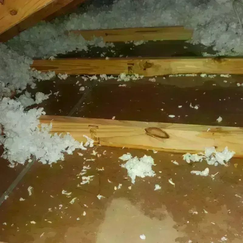 Attic Water Damage in Mission District, CA